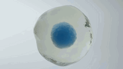 1634194184404008.gif src=http___pic1.zhimg.com_v2-7a1d140d072842e2093c509ea1107740_b.gif&refer=http___pic1.zhimg.gif