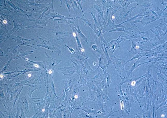 1641952977509560.jpg 微信图片_20220112094736.jpg