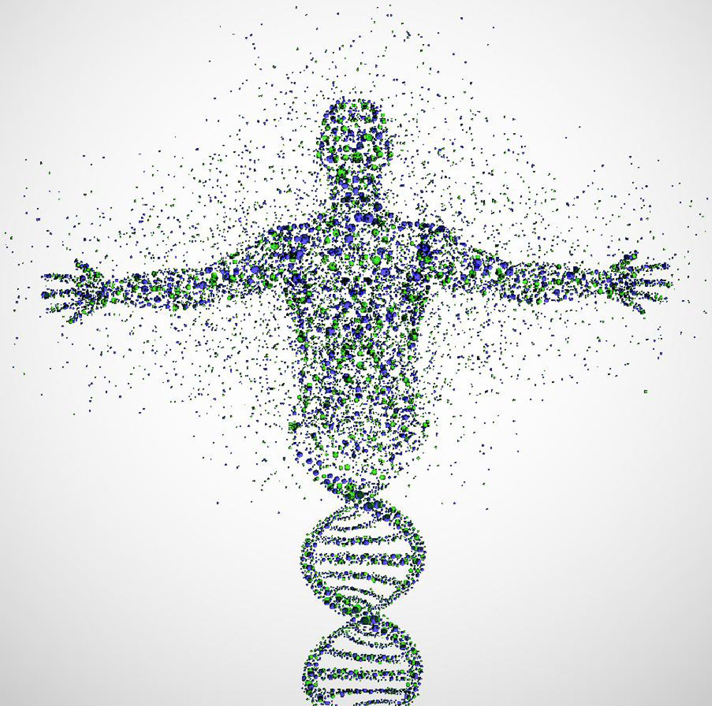 1641956339962136.png untitled.png