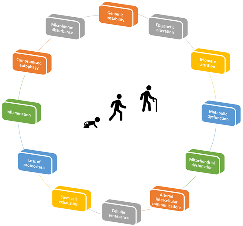 1676014636340823.png 123.png