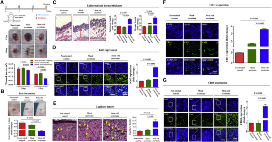 1676015016497188.png 6402.png