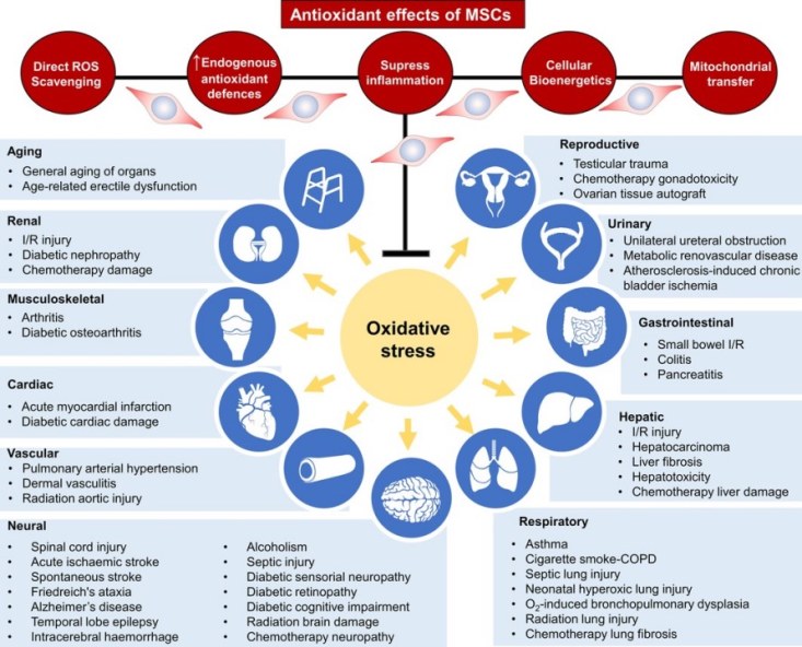 1676015043603914.png 6403.png