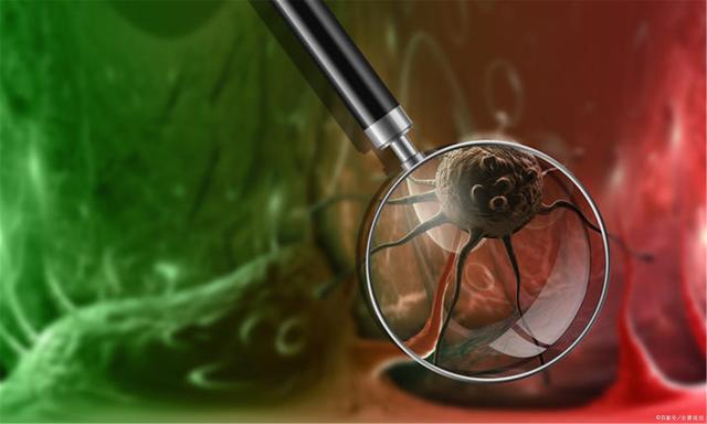 1679645169138666.jpg d439b6003af33a8752d77715ed8b253f5243b561.jpg