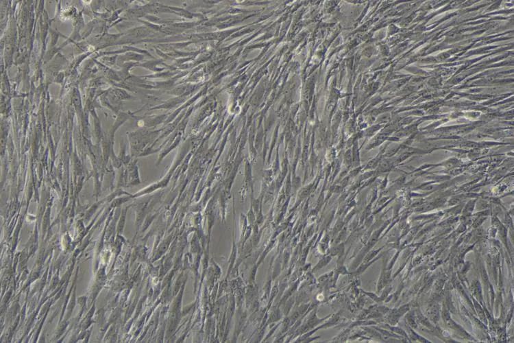 1680058777728793.jpg 微信图片_20230329105003.jpg