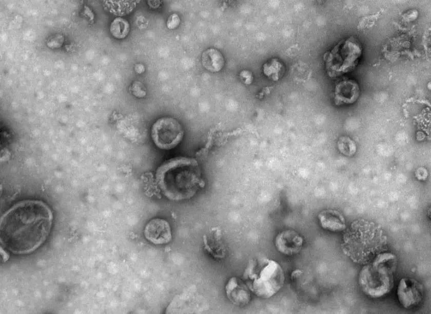 1680250606373990.jpg 640.jpg