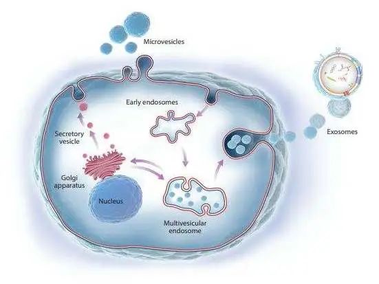 1680250624200579.jpg 6401.jpg