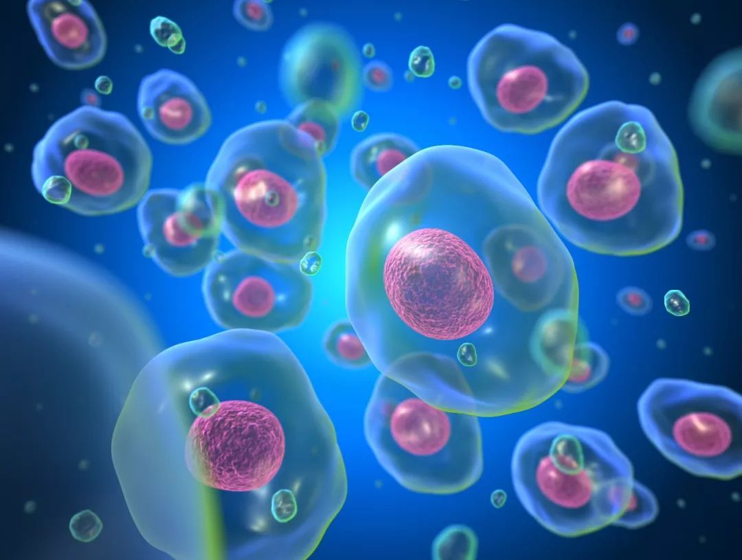 1680253133365084.jpg d7cd-ikcacer6578826.jpg