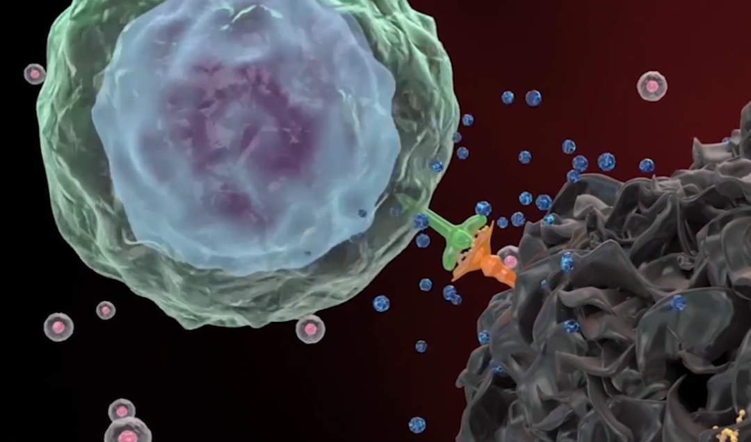 1680253155836272.png 31e7a3b825c89781d3944a39cd56a1ff.png