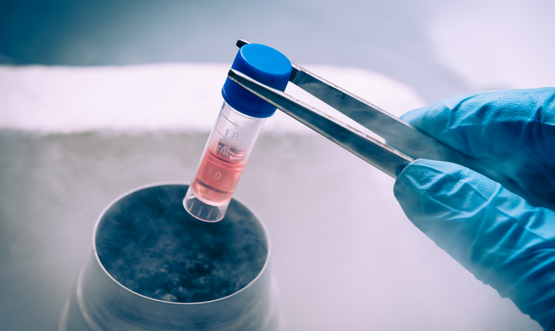 1685958578979705.png 6402.png