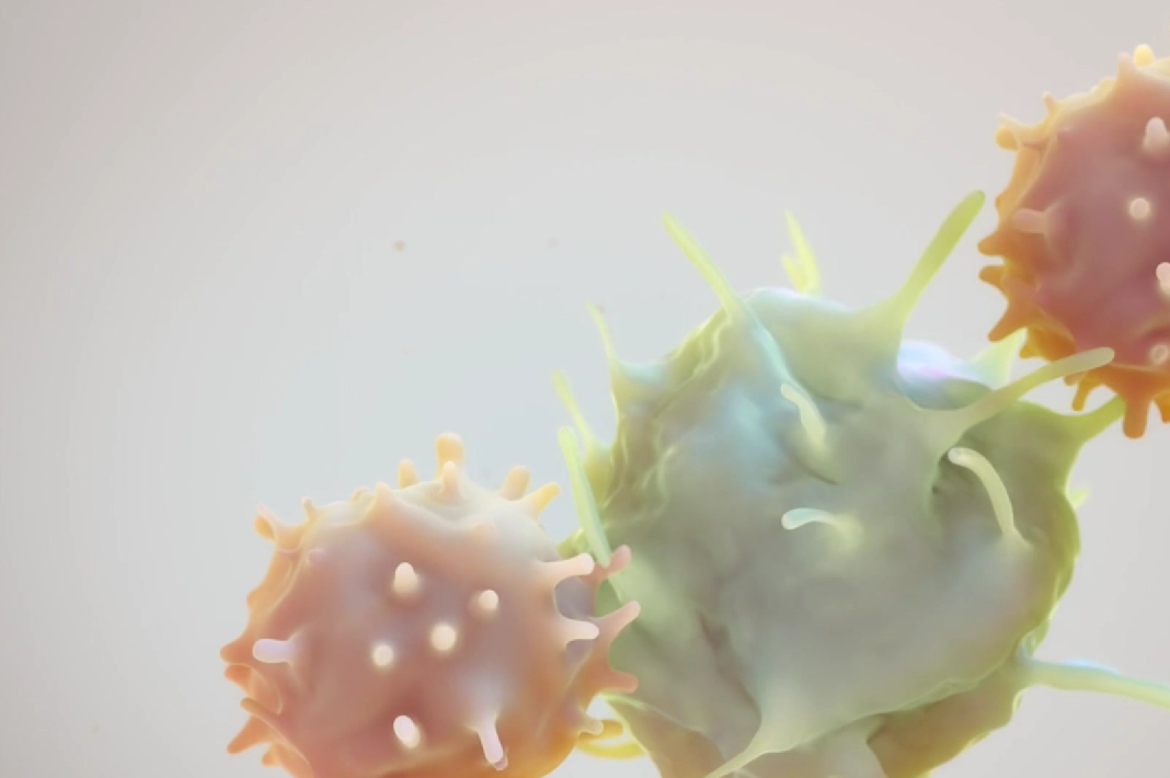 1688377243411521.png 6402.png