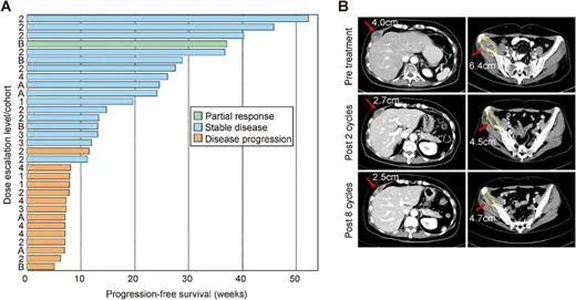1688377302940471.jpg 6406.jpg