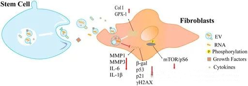 1711444244425462.png 微信图片_20240326170827.png